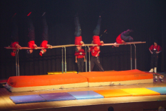 Turnervorstellung 2004