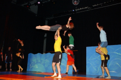 Turnervorstellung 2008