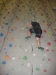 KLetterhalle 2014-2