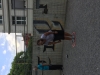 Foto 27.06.18, 18 37 20 (1)